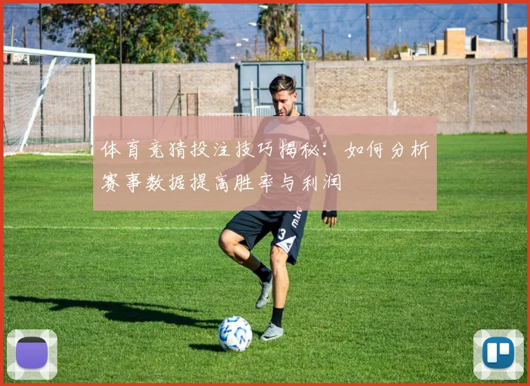 体育竞猜投注技巧揭秘：如何分析赛事数据提高胜率与利润