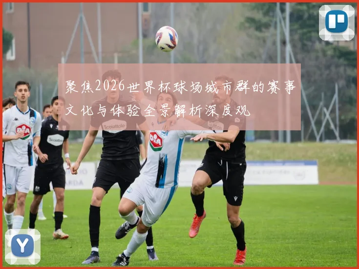 聚焦2026世界杯球场城市群的赛事文化与体验全景解析深度观
