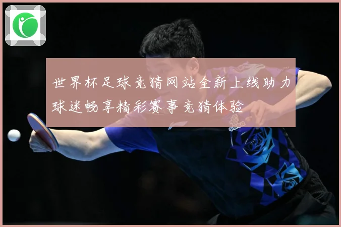 世界杯足球竞猜网站全新上线助力球迷畅享精彩赛事竞猜体验